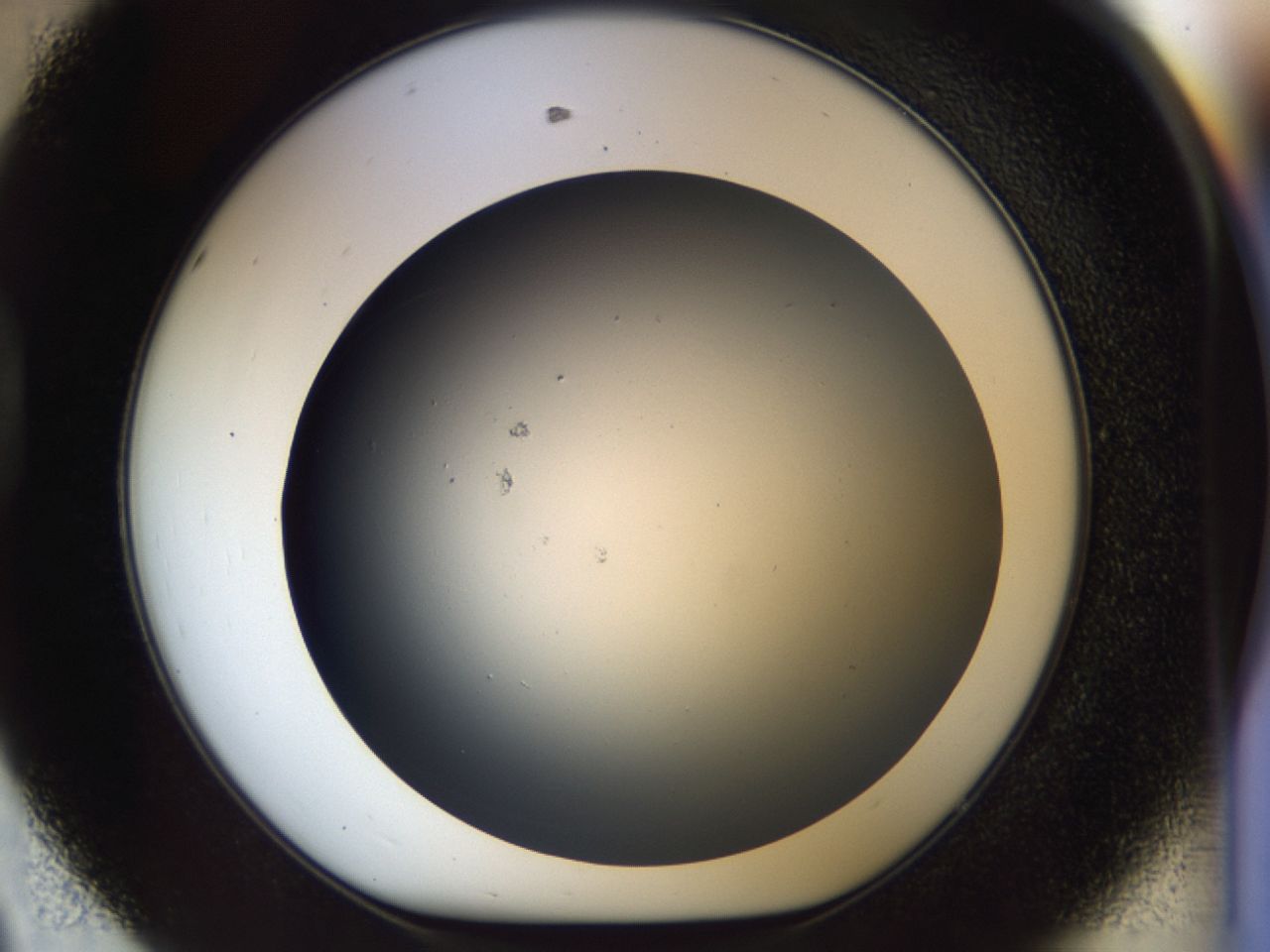 03c8_D8_ImagerDefaults_6.jpg