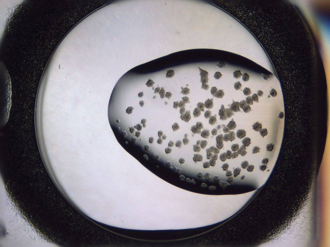 03cb_D6_ImagerDefaults_6.jpg