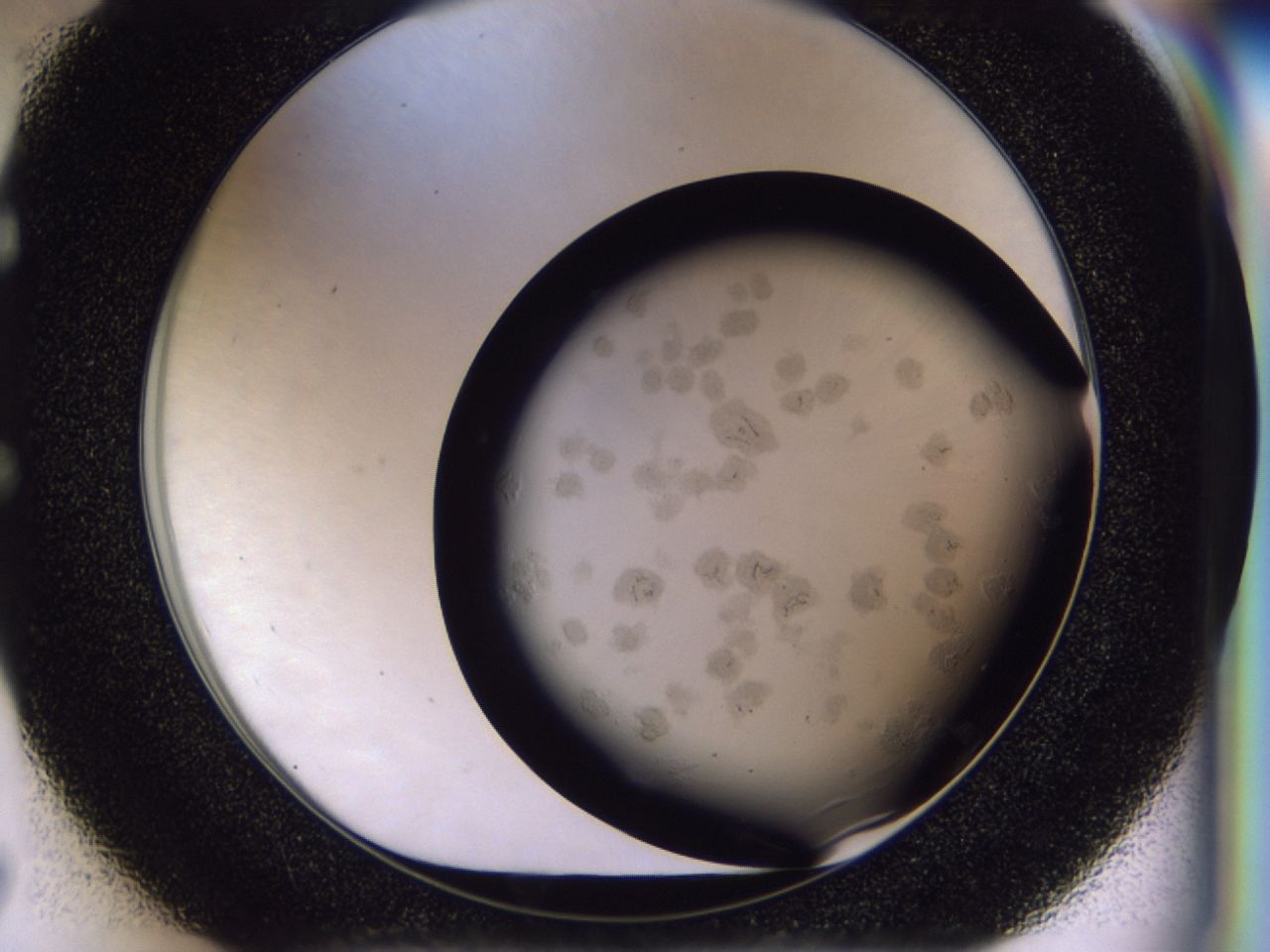 03cb_E7_ImagerDefaults_6.jpg