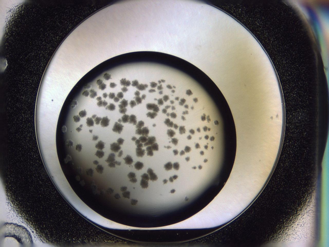 03cb_F10_ImagerDefaults_6.jpg