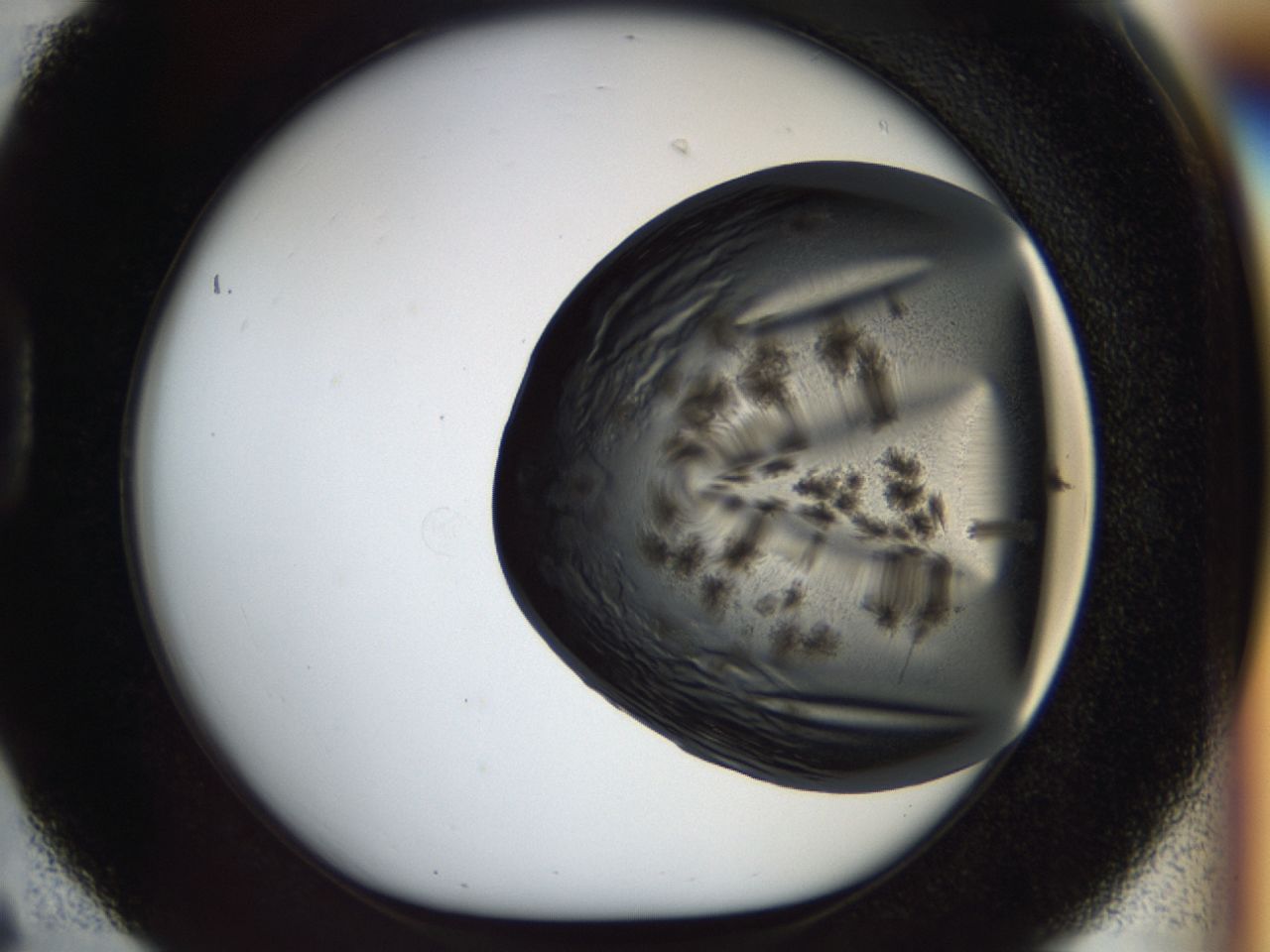 03cc_D6_ImagerDefaults_6.jpg