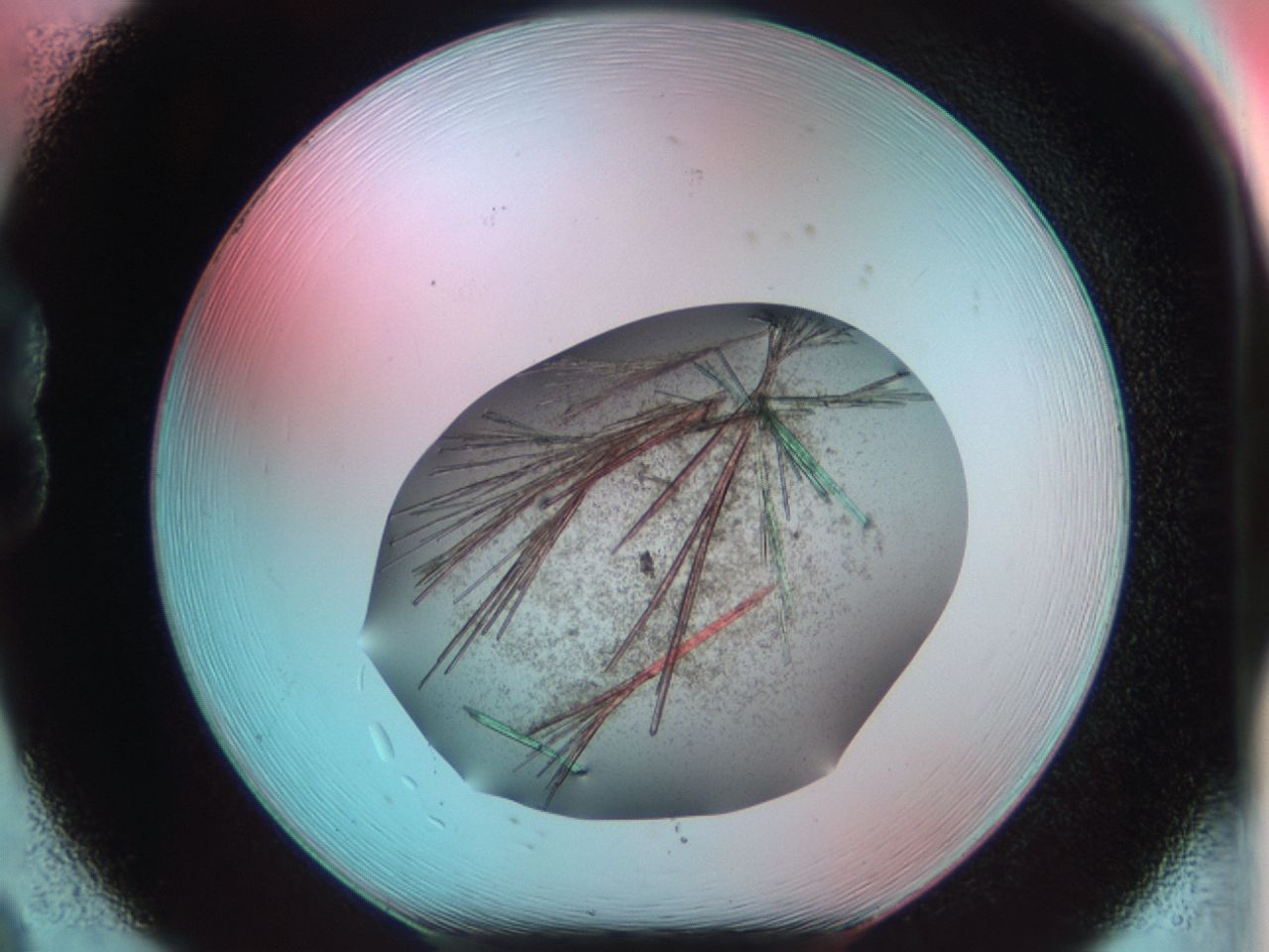 03cd_B8_ImagerDefaults_7.jpg