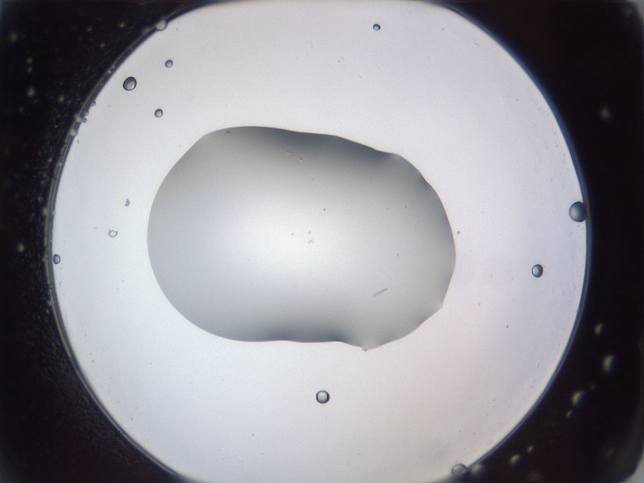folderID52_plateID1052_batchID2254_wellNum2_profileID1_d2_r47508_ef.jpg