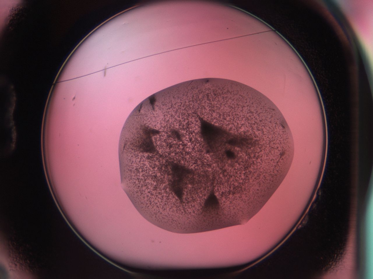 03cd_B2_ImagerDefaults_6.jpg