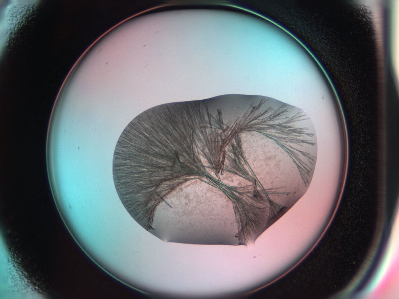 03cd_B4_ImagerDefaults_7.jpg