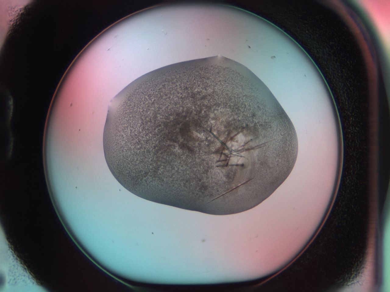 03cd_B5_ImagerDefaults_7.jpg