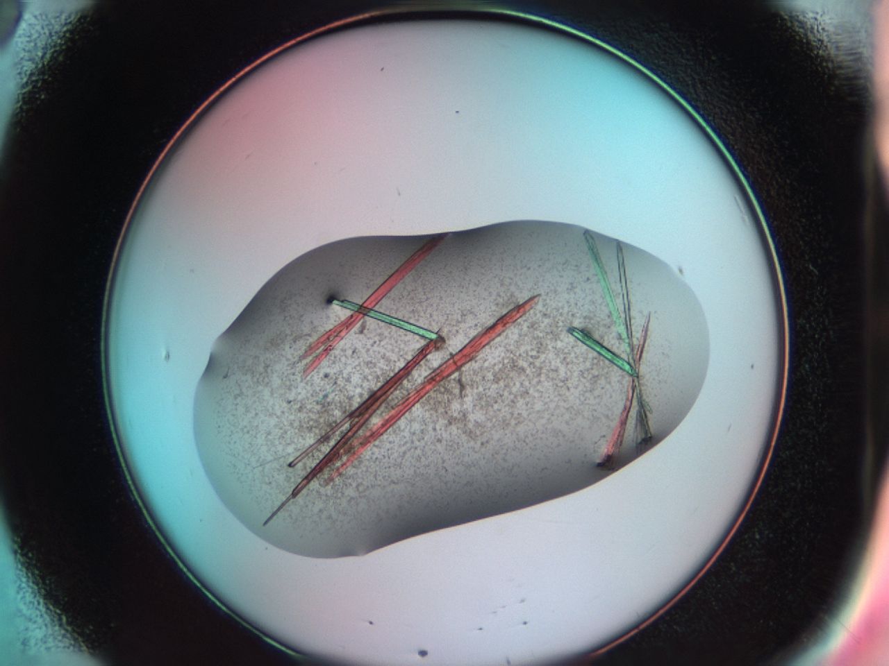 03cd_B8_ImagerDefaults_9.jpg