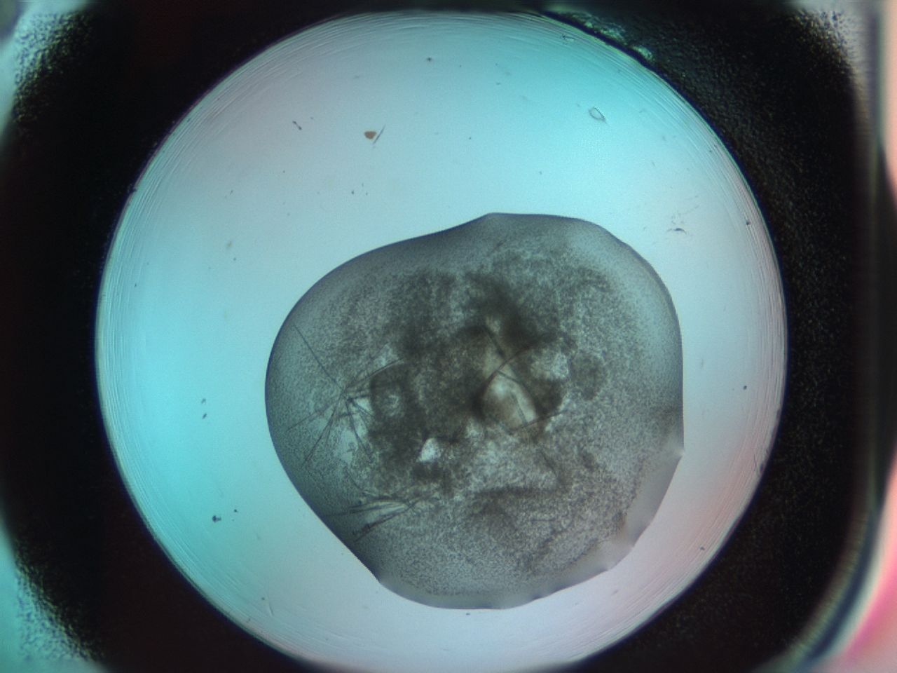 03cd_B6_ImagerDefaults_6.jpg