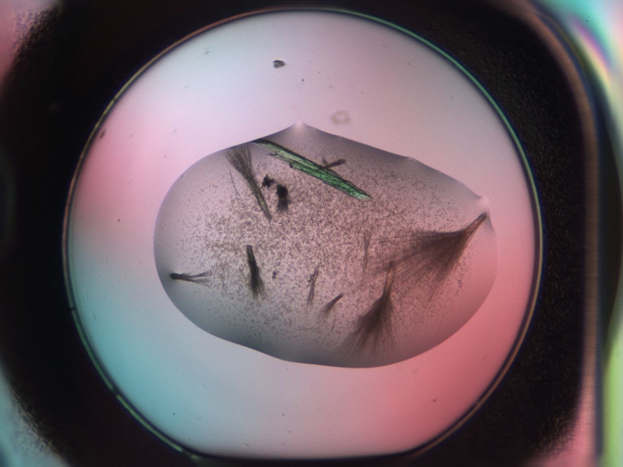 03cd_D8_ImagerDefaults_7.jpg