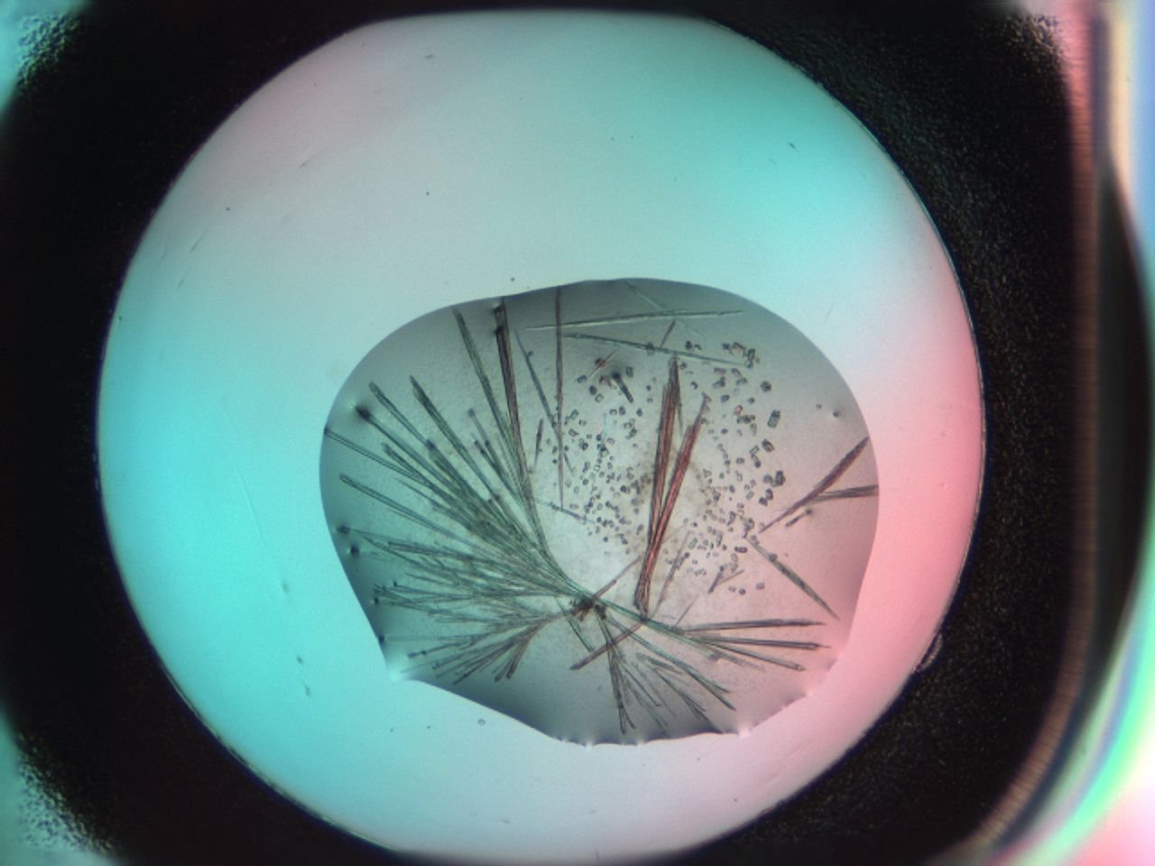 03cd_E4_ImagerDefaults_7.jpg