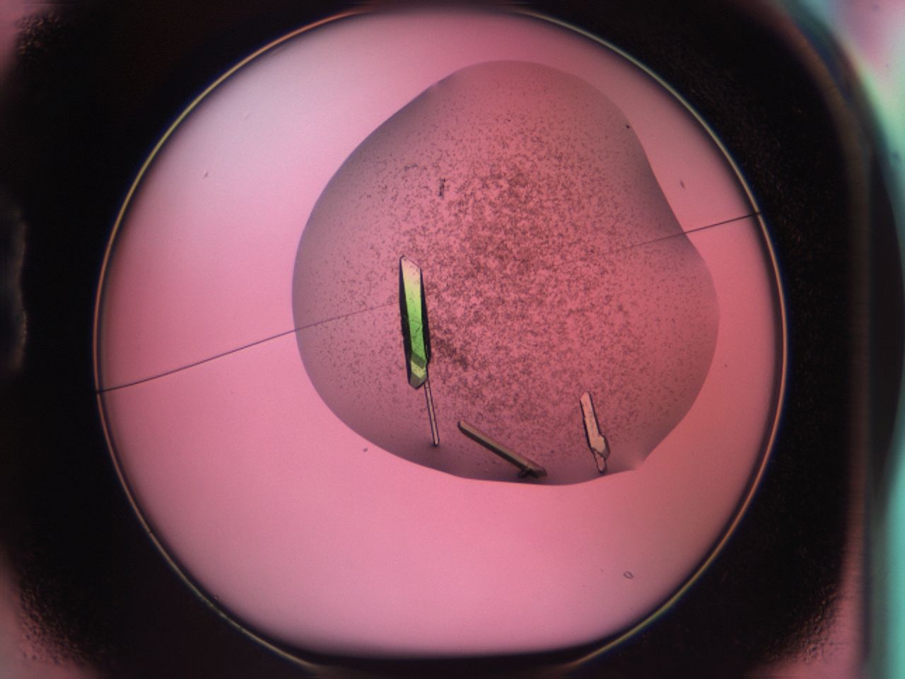 03cd_B1_ImagerDefaults_9.jpg
