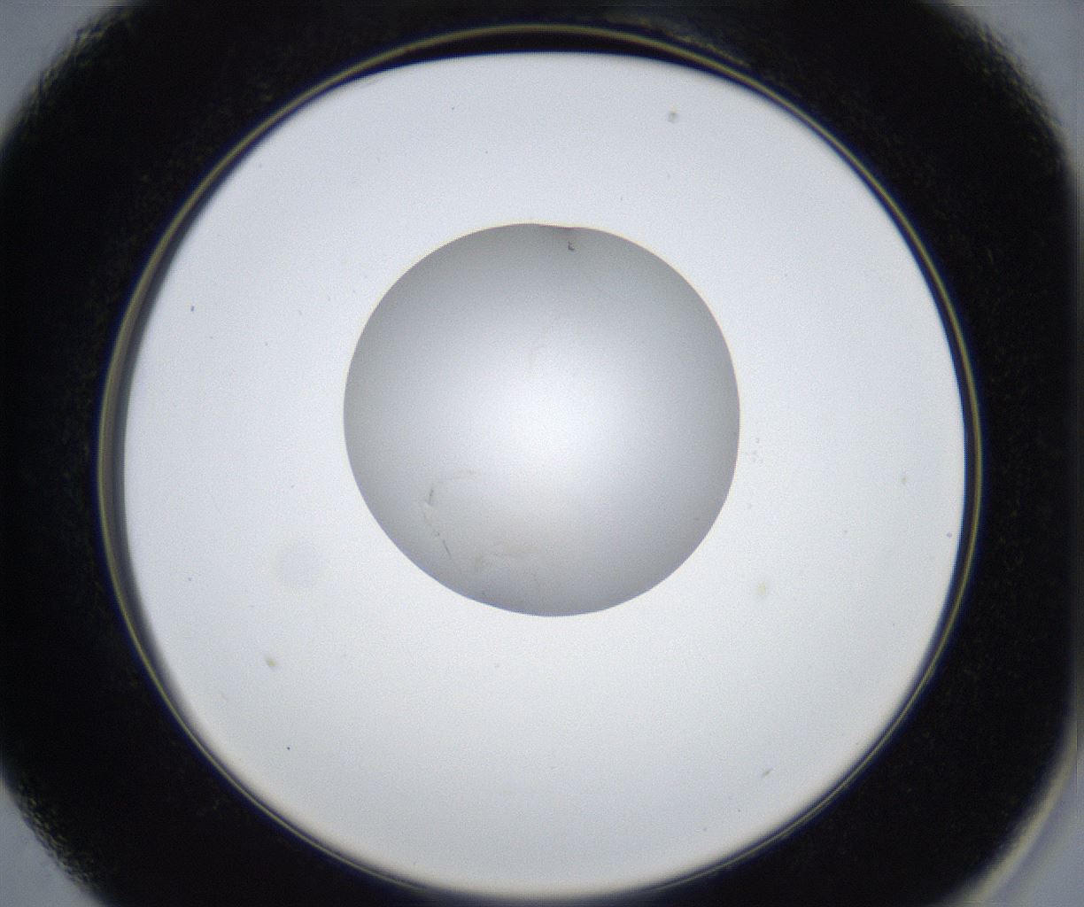 folderID531_plateID2531_batchID12499_wellNum13_profileID1_d2_r191549_ef.jpg