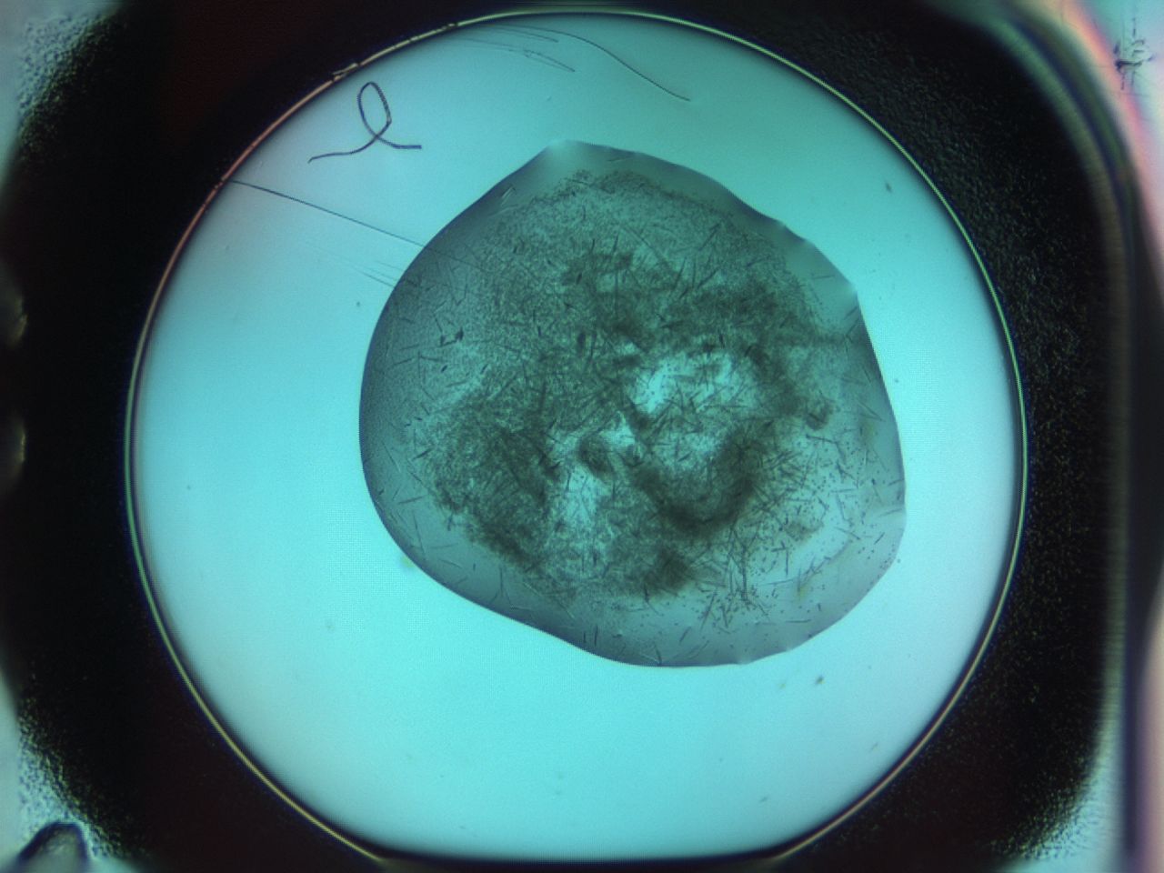 03cd_C11_ImagerDefaults_6.jpg