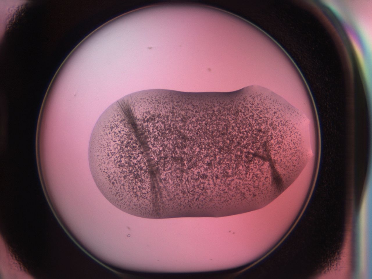 03cd_D2_ImagerDefaults_6.jpg