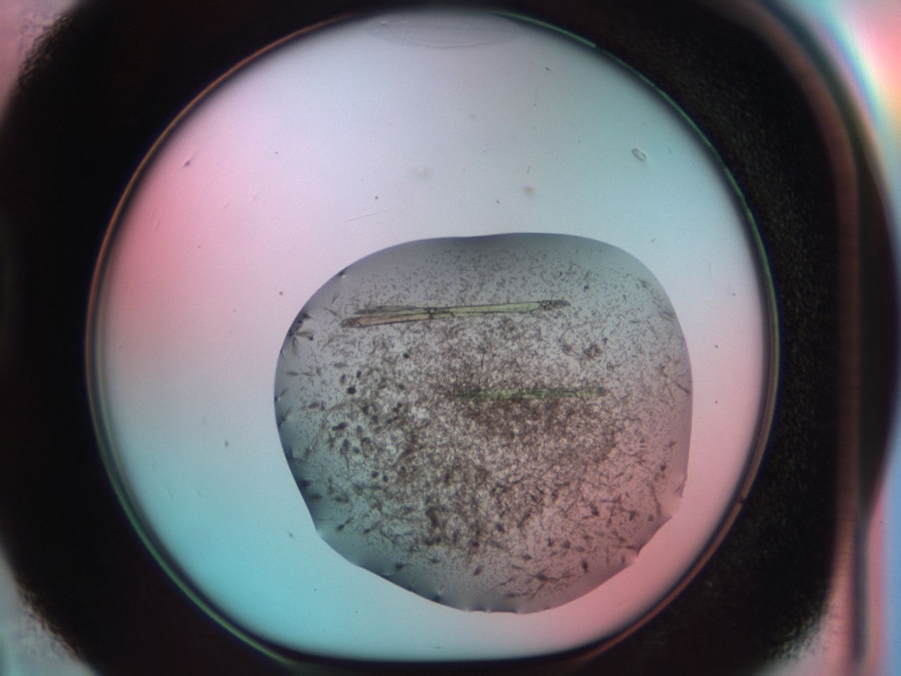 03cd_D4_ImagerDefaults_7.jpg