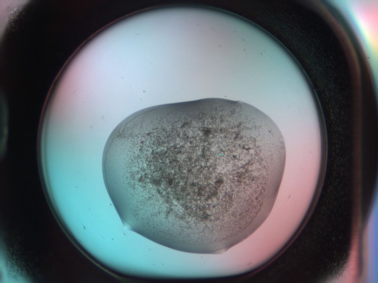 03cd_D5_ImagerDefaults_7.jpg