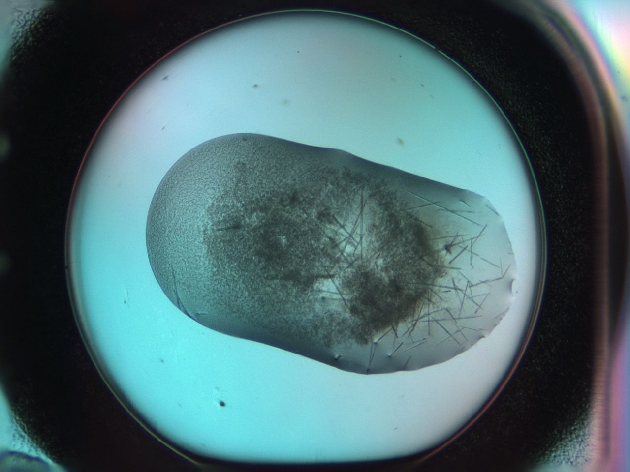03cd_E10_ImagerDefaults_6.jpg