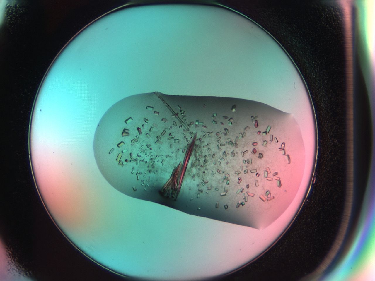 03cd_F4_ImagerDefaults_8.jpg