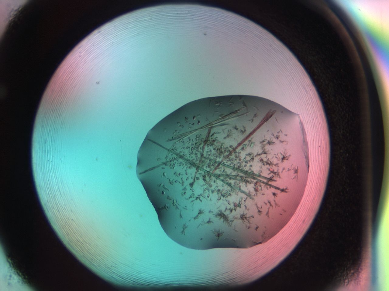 03cd_F5_ImagerDefaults_7.jpg
