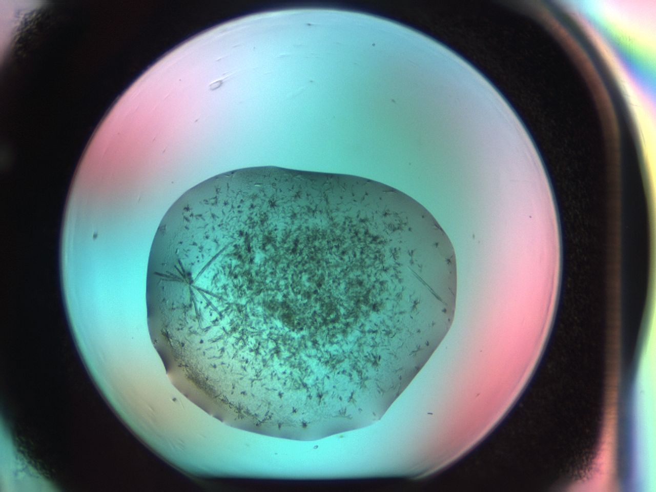03cd_F6_ImagerDefaults_7.jpg