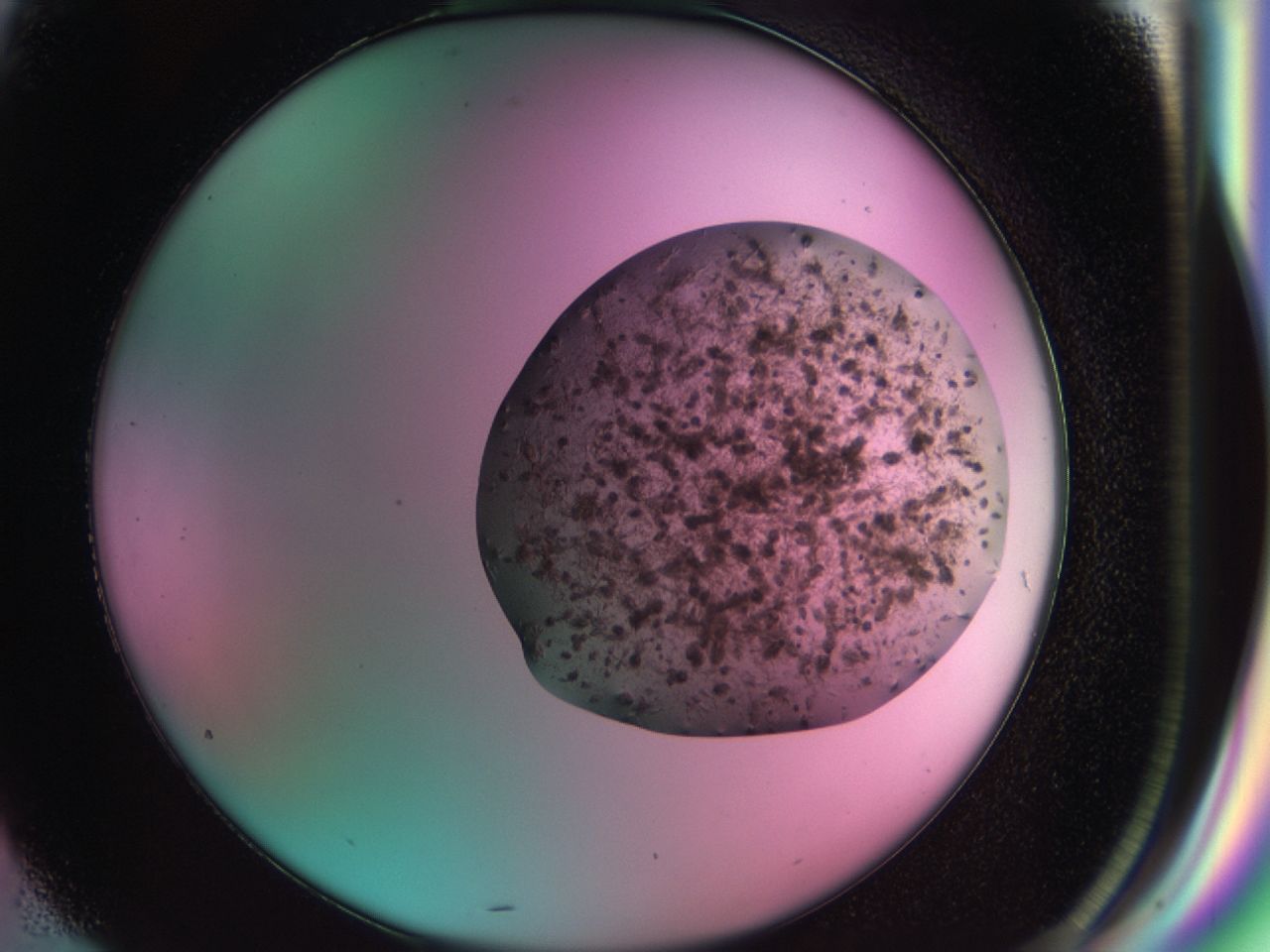 03cd_G4_ImagerDefaults_6.jpg