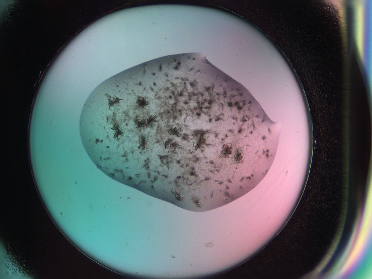 03cd_G5_ImagerDefaults_6.jpg