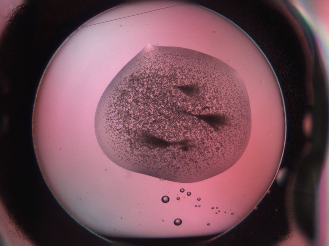 03cd_C2_ImagerDefaults_6.jpg