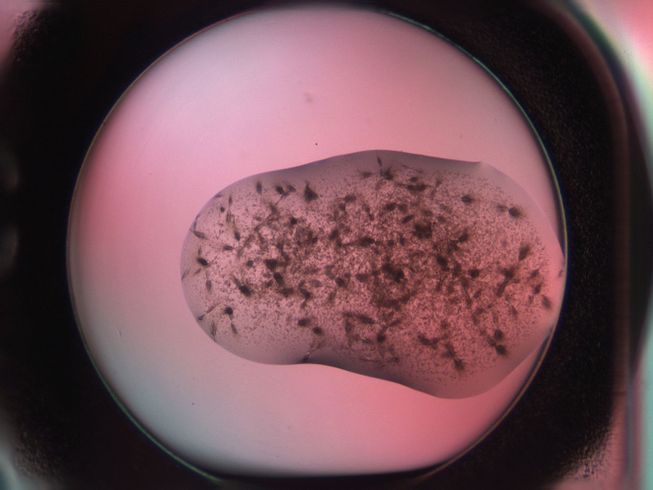 03cd_C3_ImagerDefaults_6.jpg