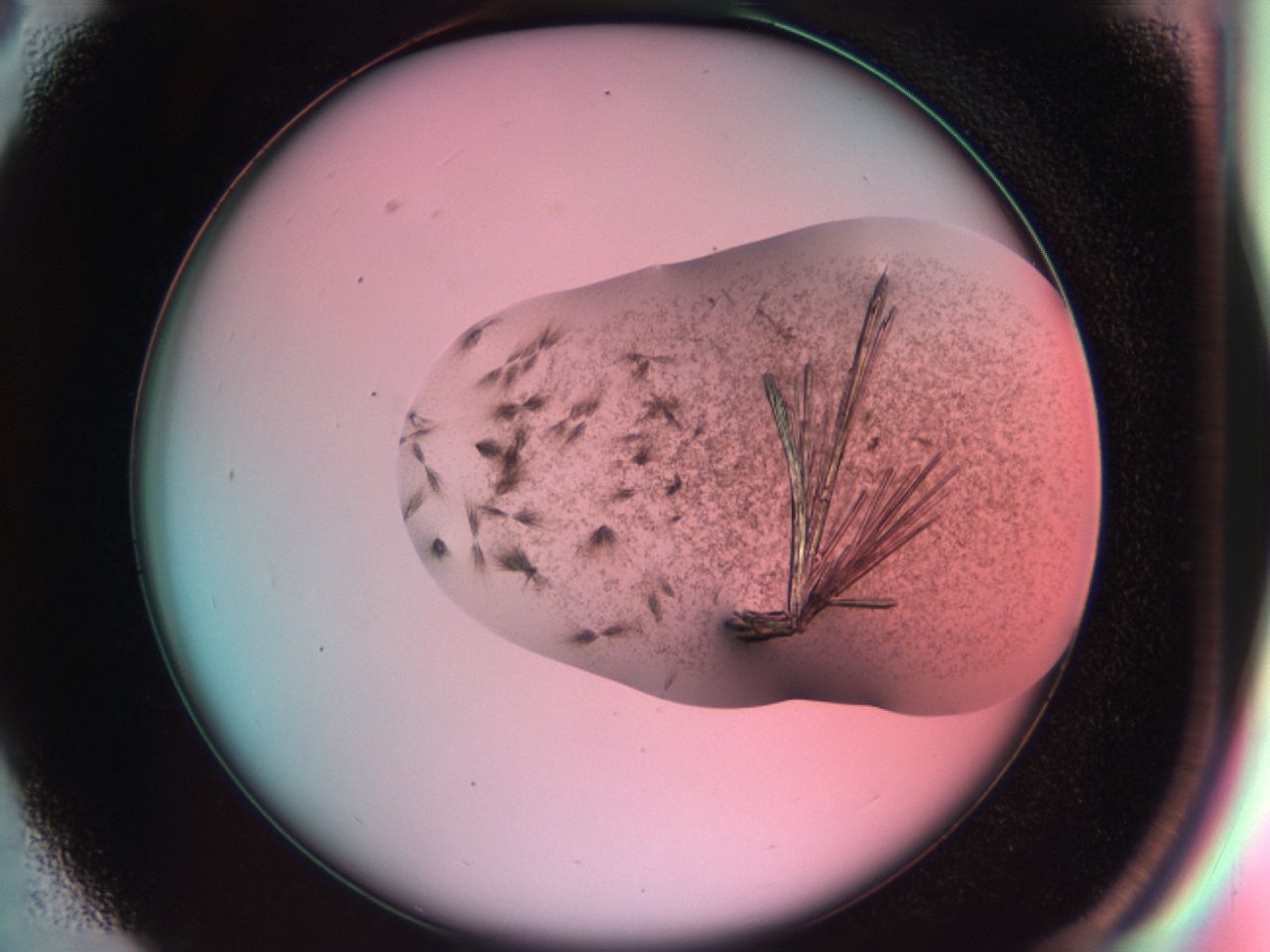 03cd_C3_ImagerDefaults_7.jpg