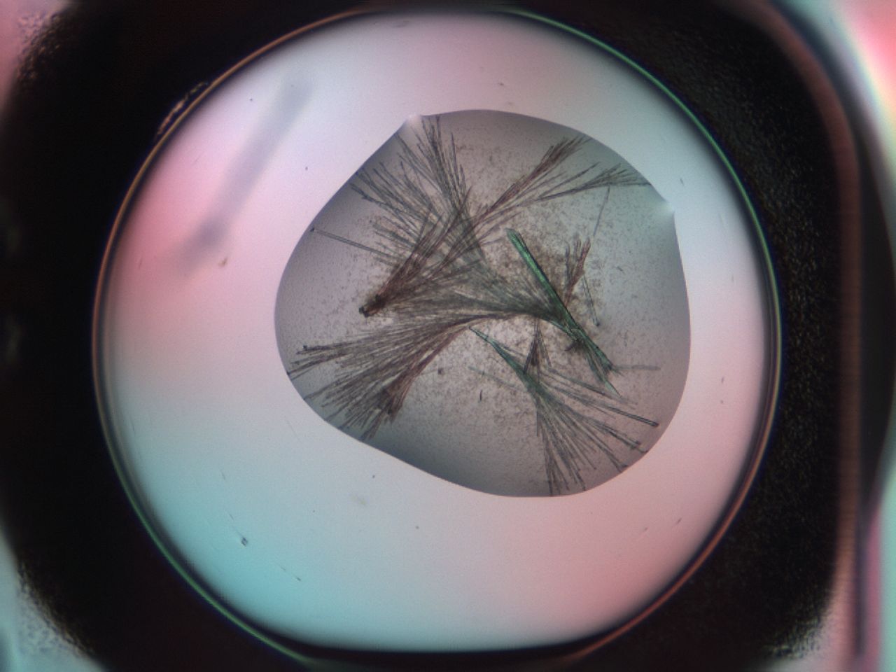 03cd_C4_ImagerDefaults_7.jpg