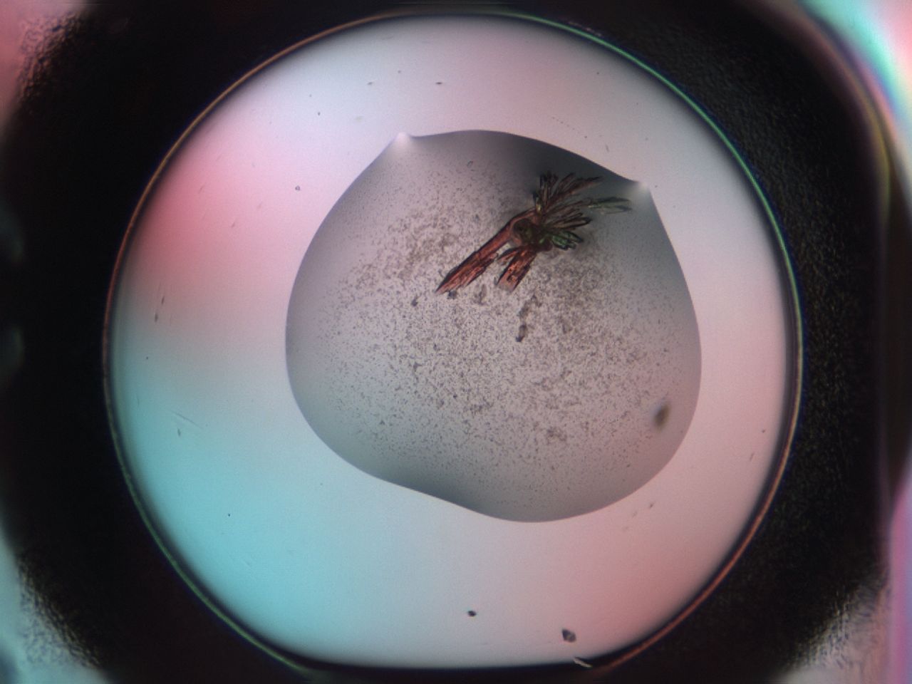 03cd_C8_ImagerDefaults_8.jpg