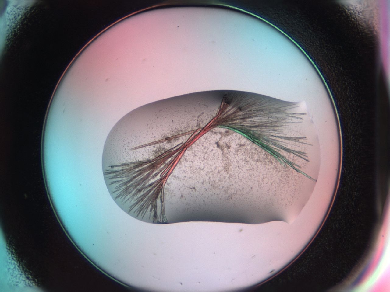 03cd_C8_ImagerDefaults_7.jpg