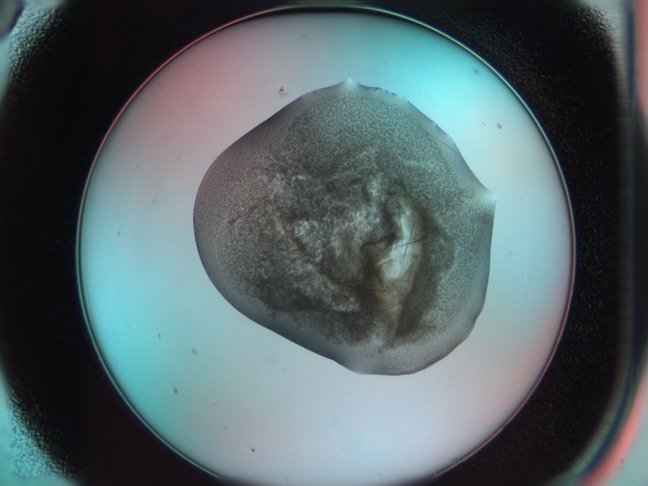 03cd_A5_ImagerDefaults_6.jpg