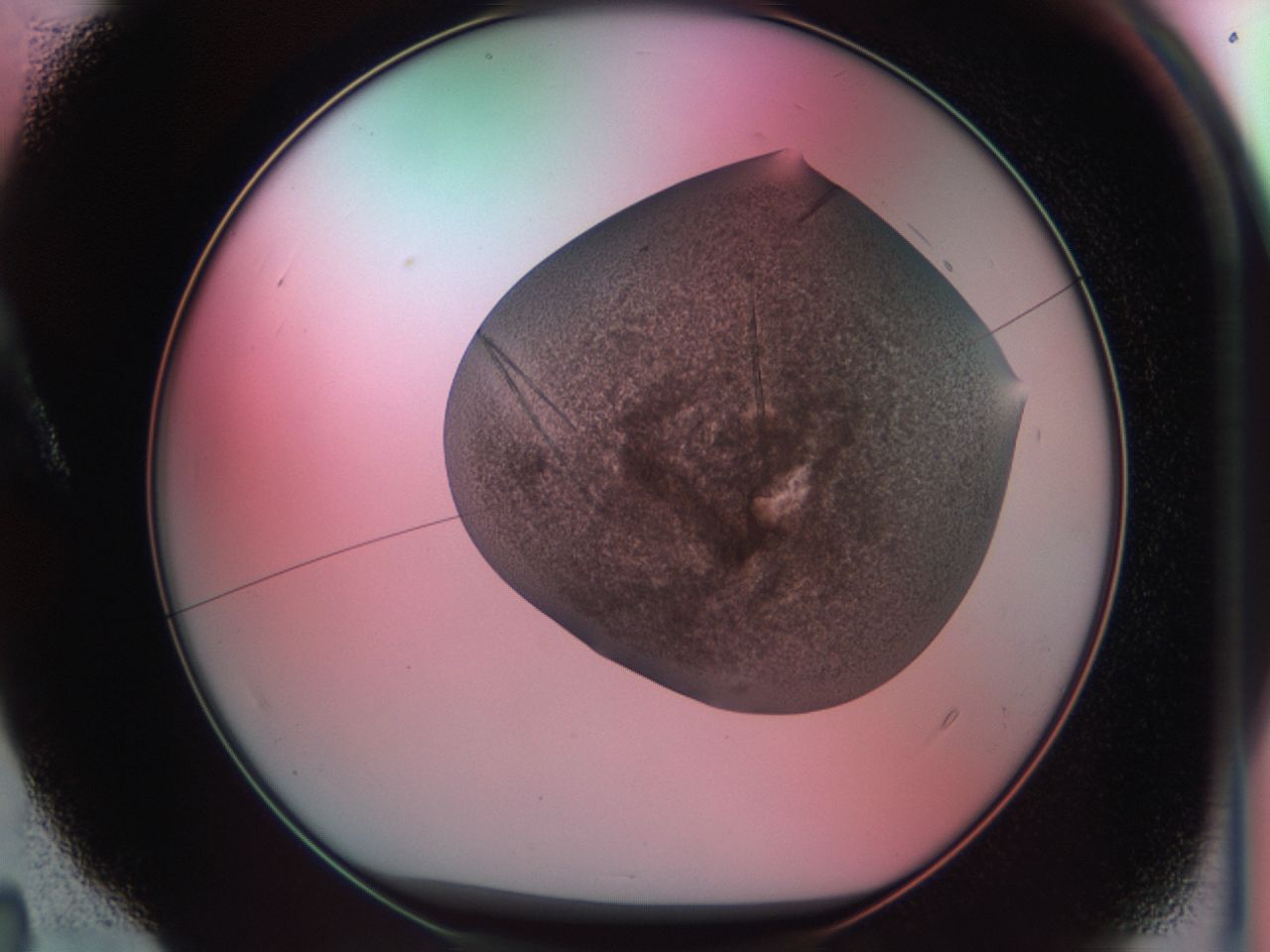 03cd_A4_ImagerDefaults_6.jpg
