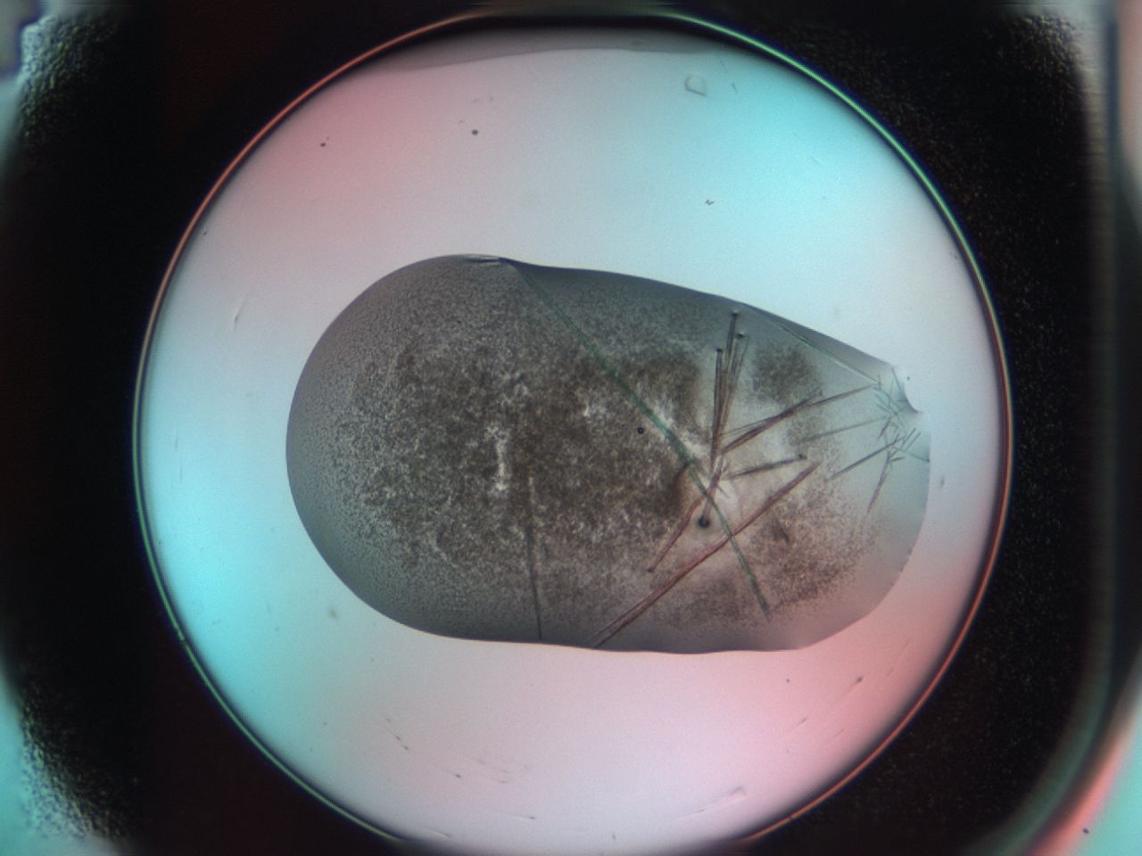 03cd_A4_ImagerDefaults_7.jpg