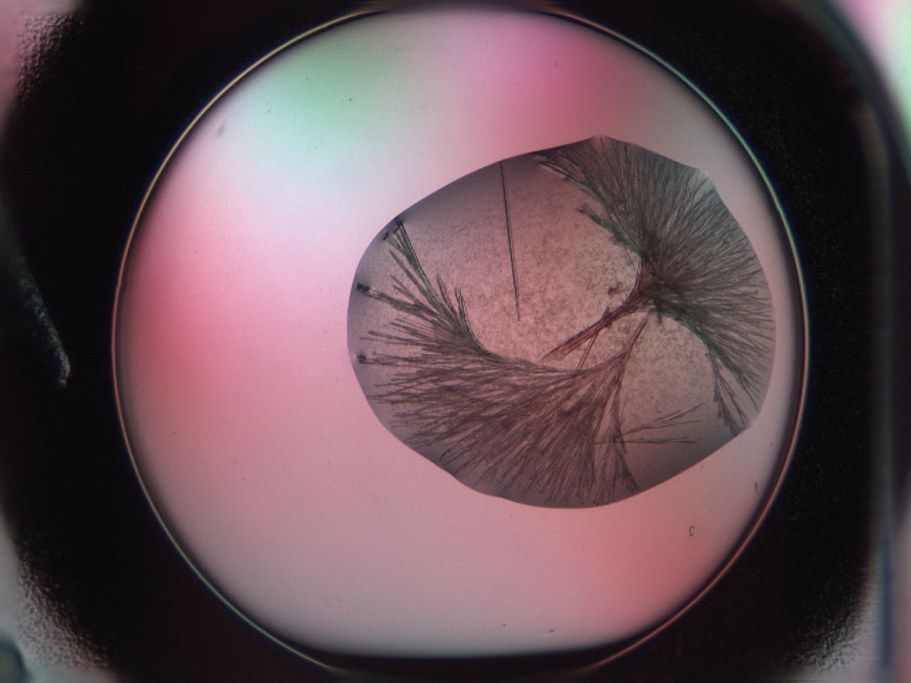 03cd_A3_ImagerDefaults_7.jpg