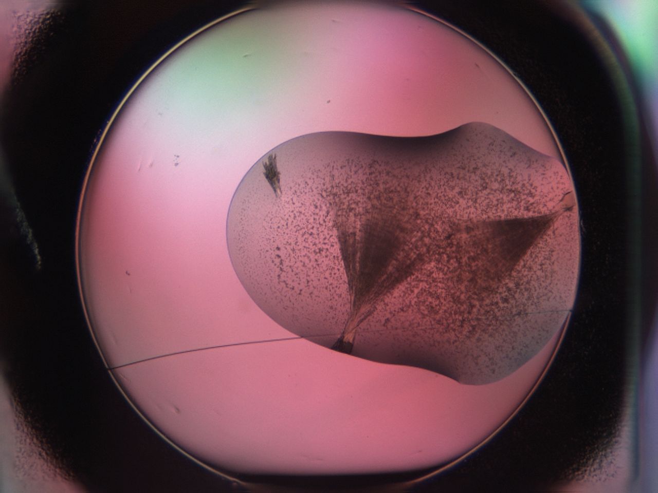 03cd_A1_ImagerDefaults_6.jpg