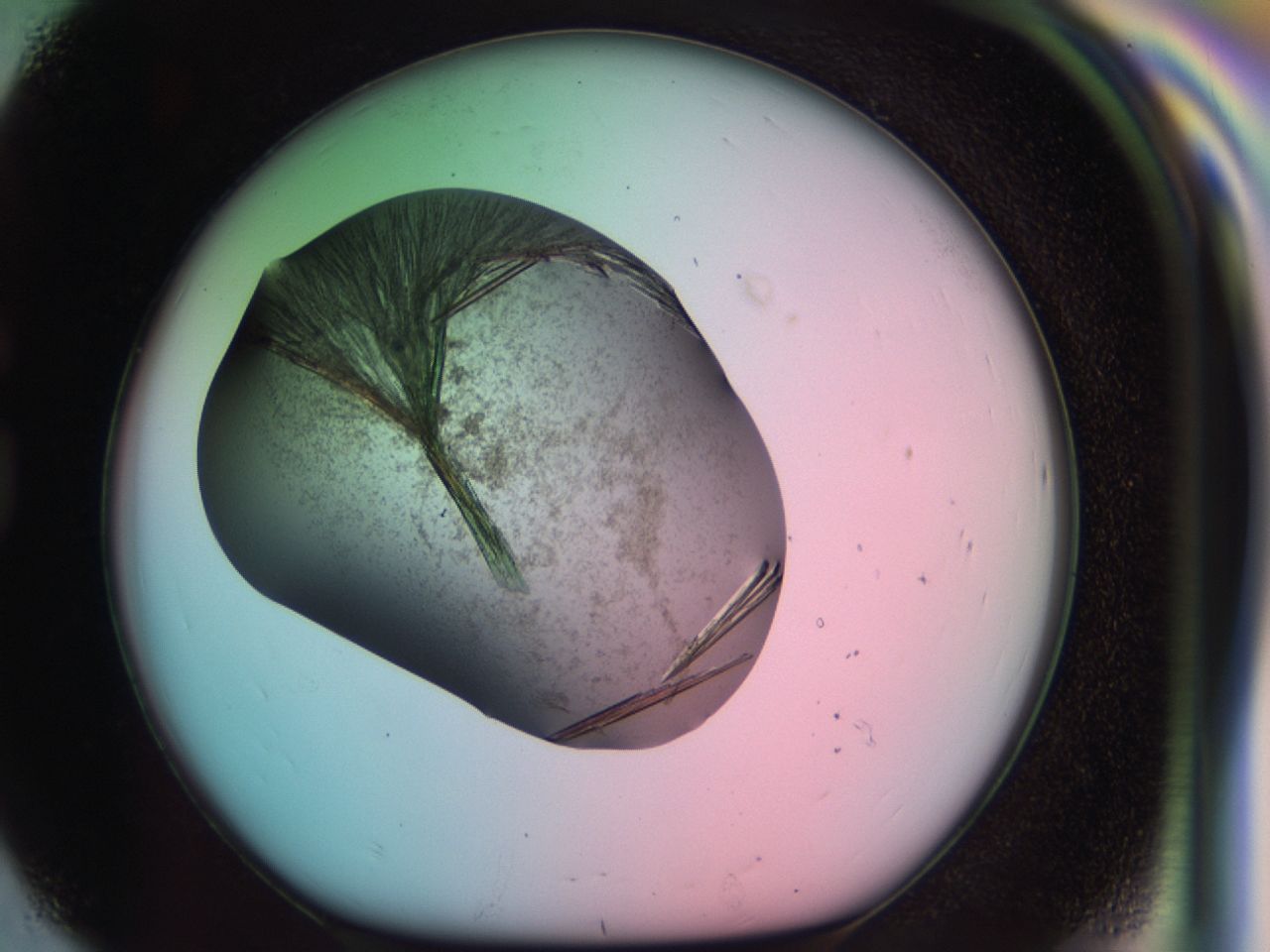 03cd_G8_ImagerDefaults_7.jpg