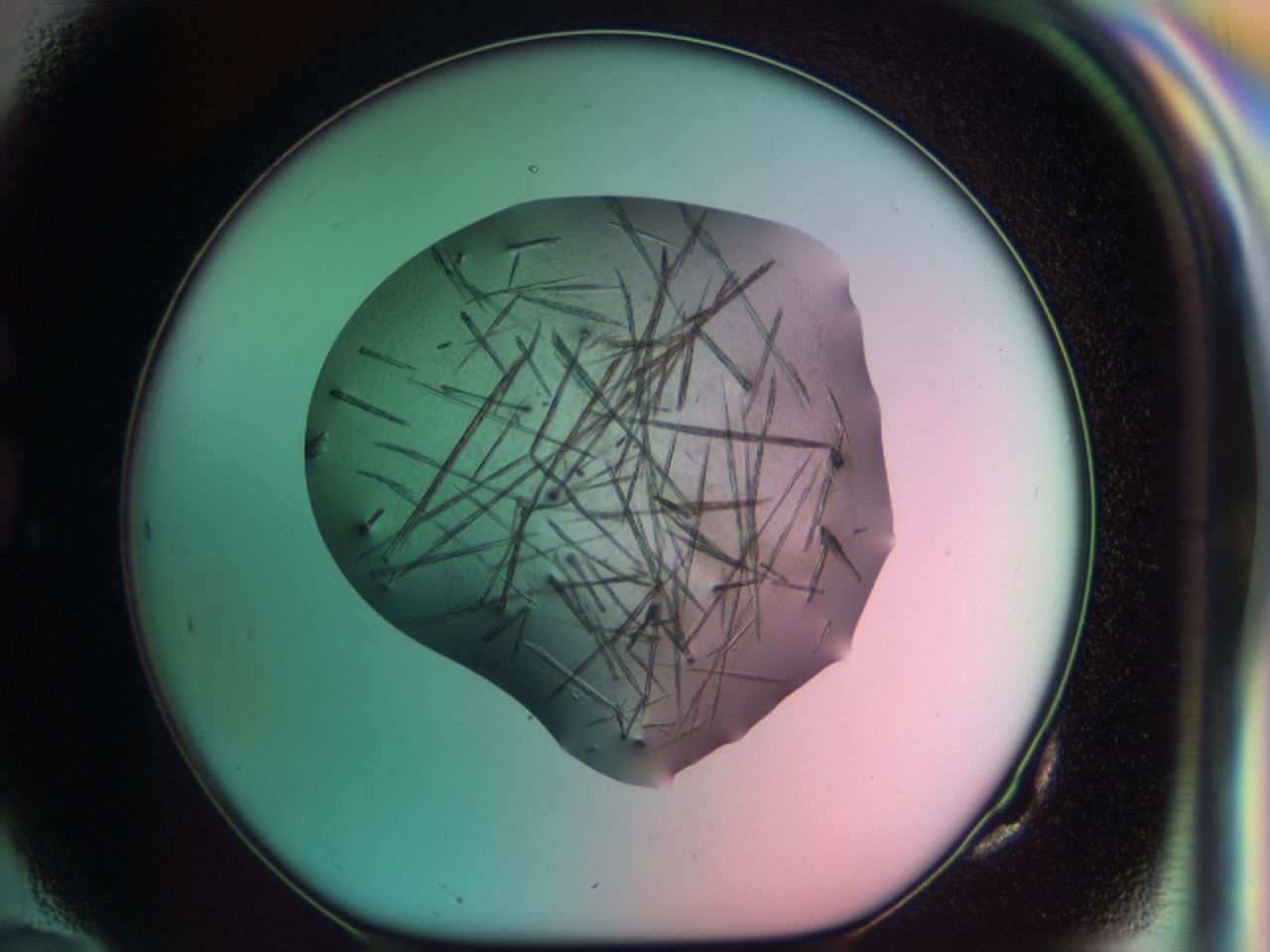 03cd_G10_ImagerDefaults_7.jpg