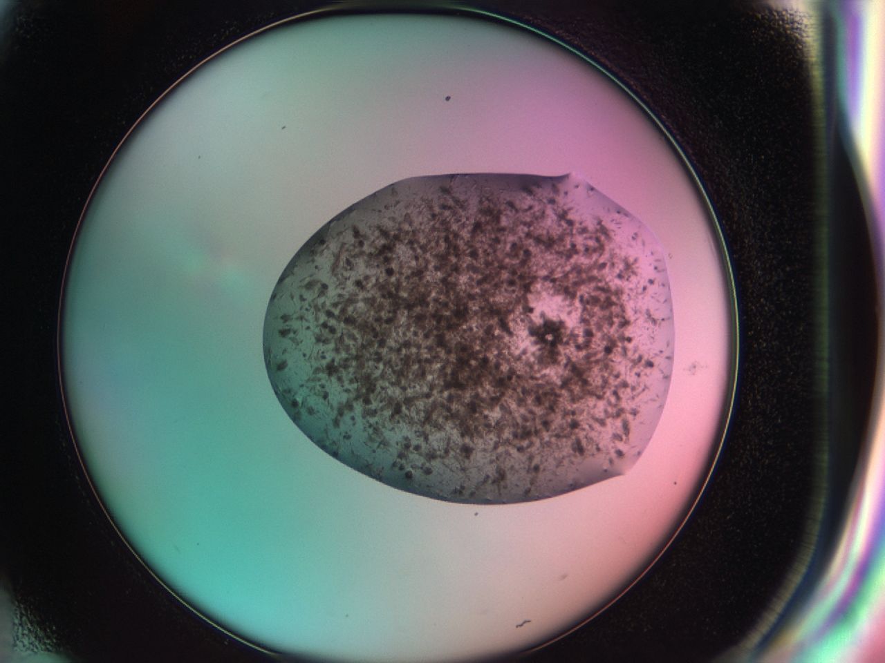 03cd_H4_ImagerDefaults_6.jpg