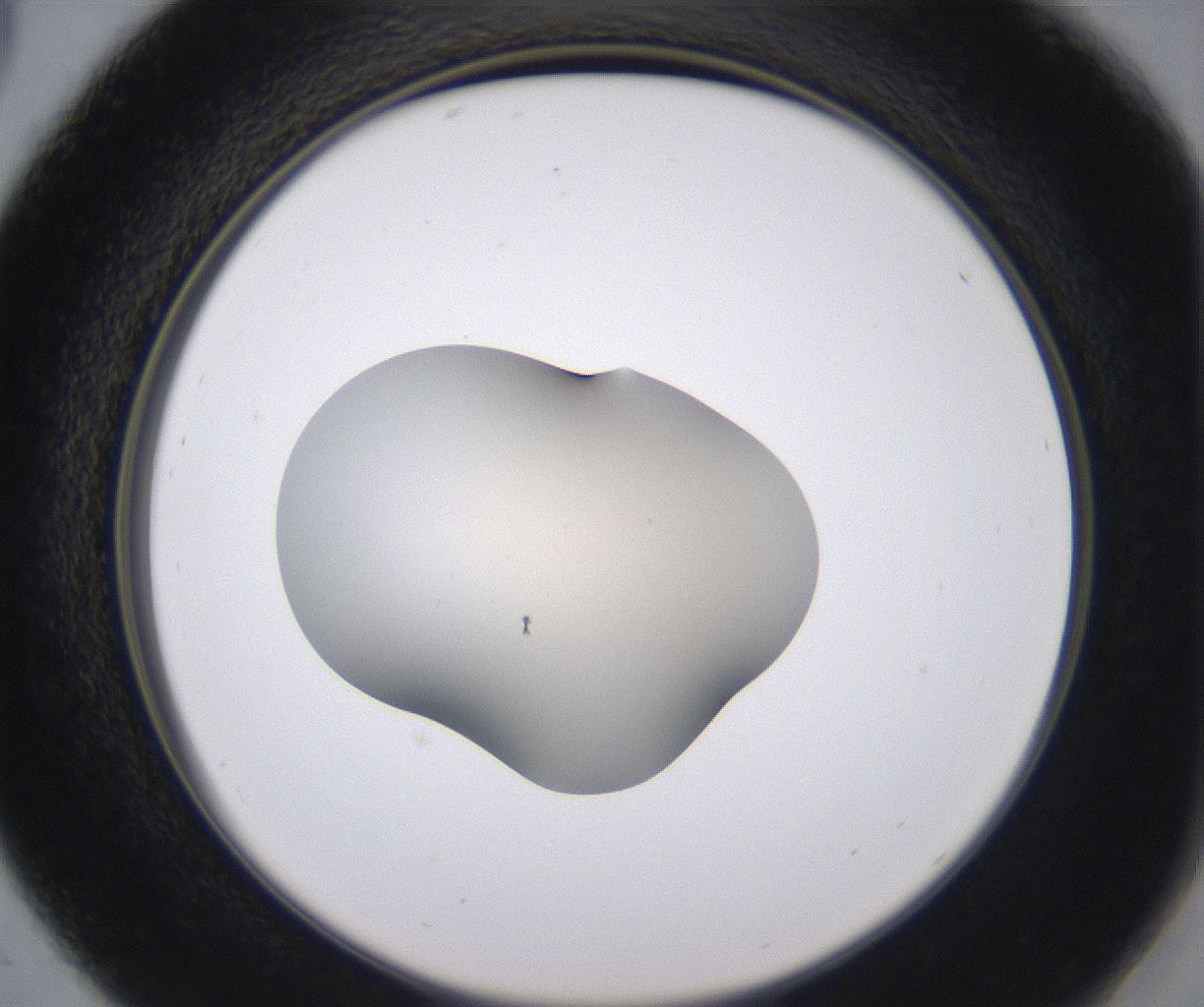 folderID538_plateID2538_batchID12513_wellNum29_profileID1_d2_r193501_ef.jpg