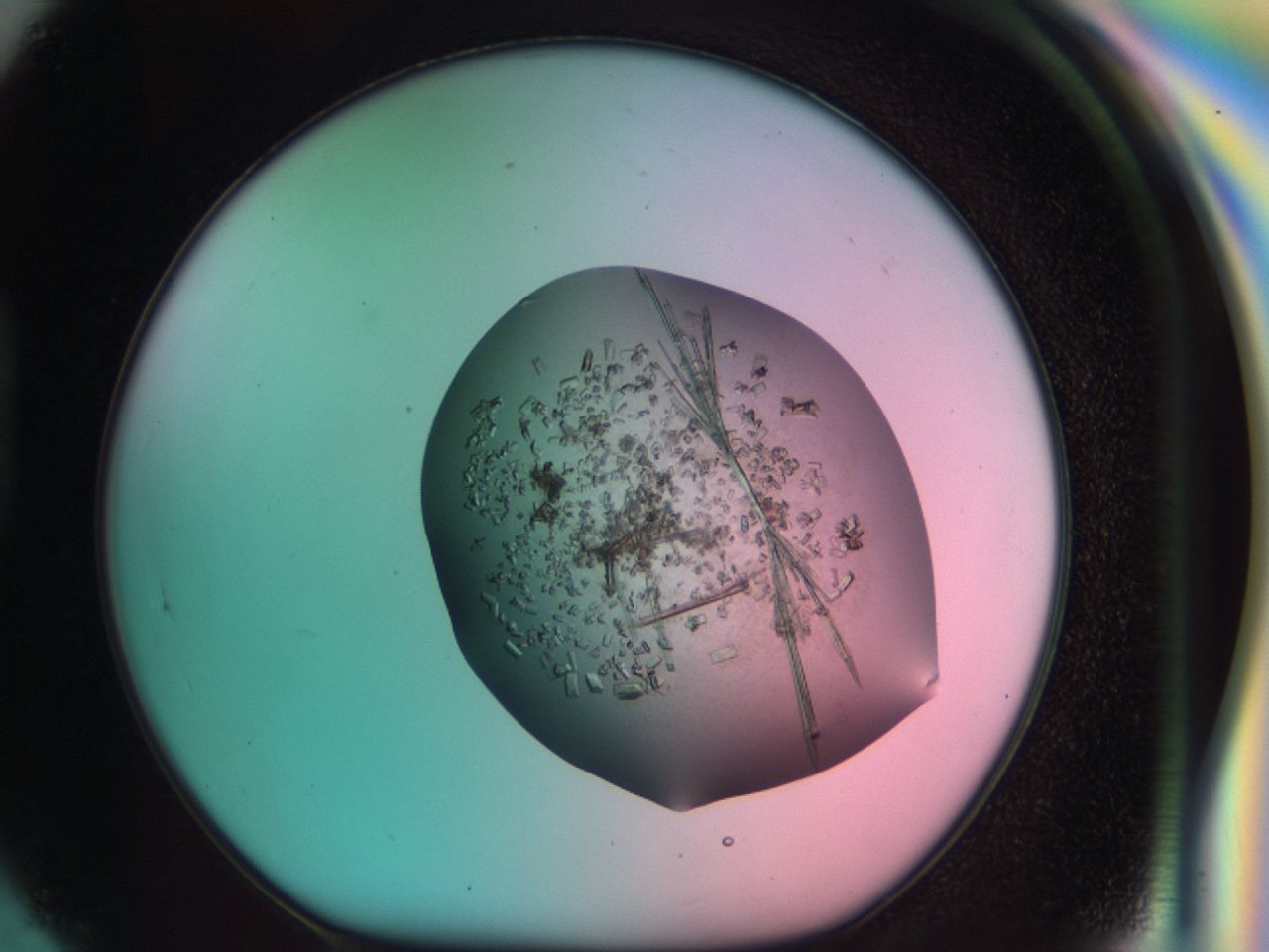 03cd_H5_ImagerDefaults_7.jpg