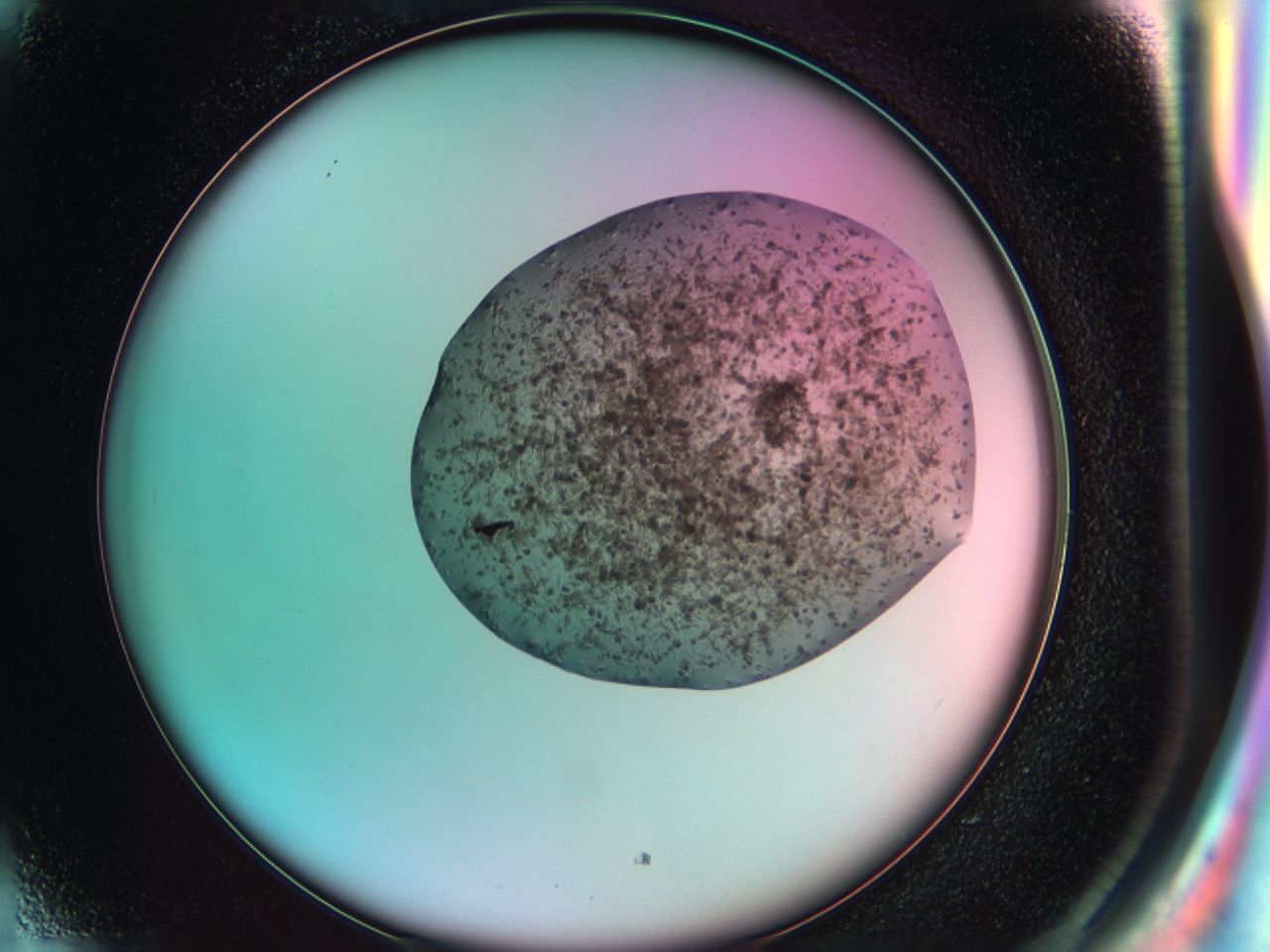 03cd_H5_ImagerDefaults_6.jpg