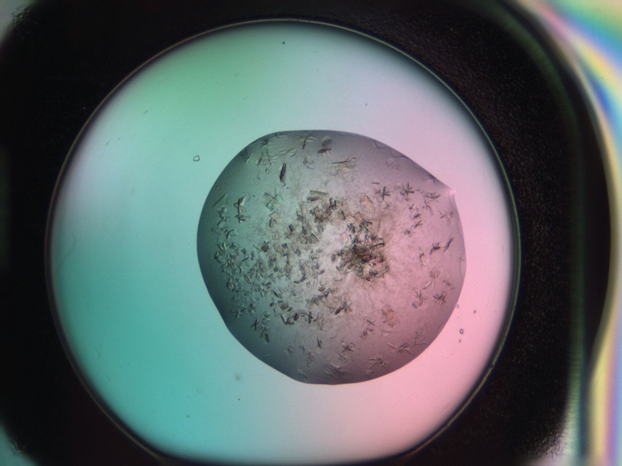 03cd_H6_ImagerDefaults_7.jpg