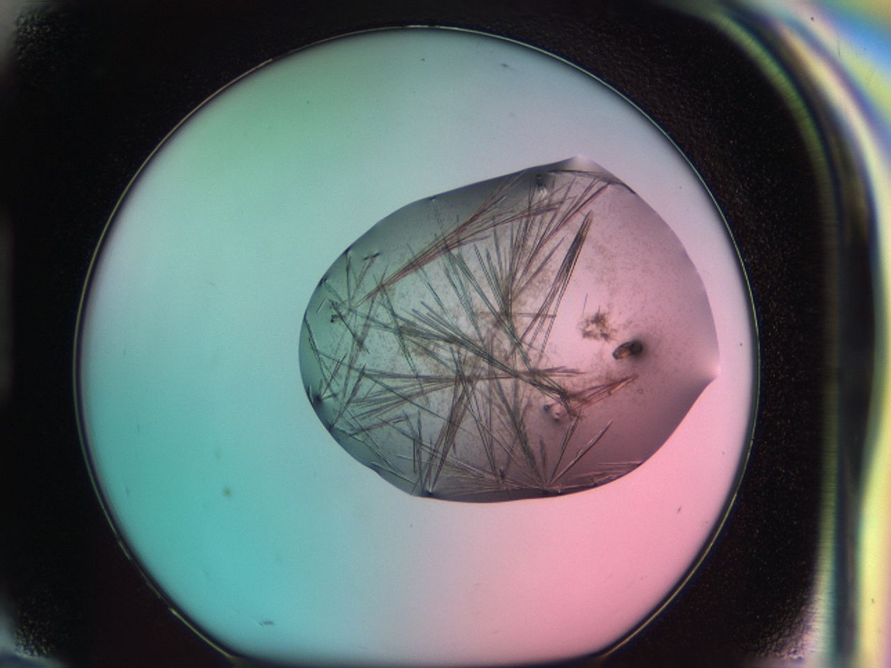 03cd_H10_ImagerDefaults_7.jpg
