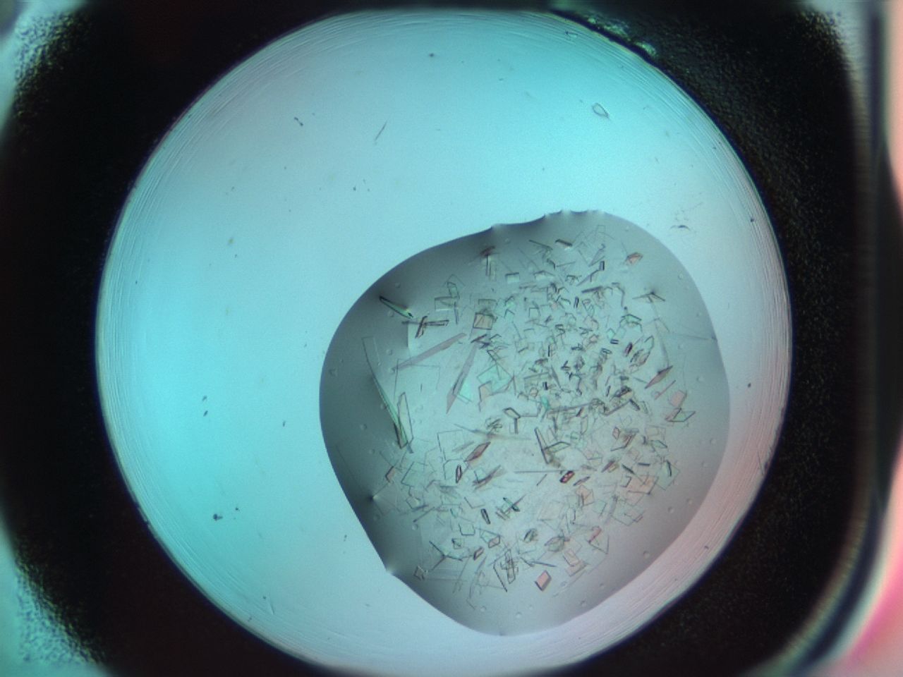 03ce_B6_ImagerDefaults_7.jpg