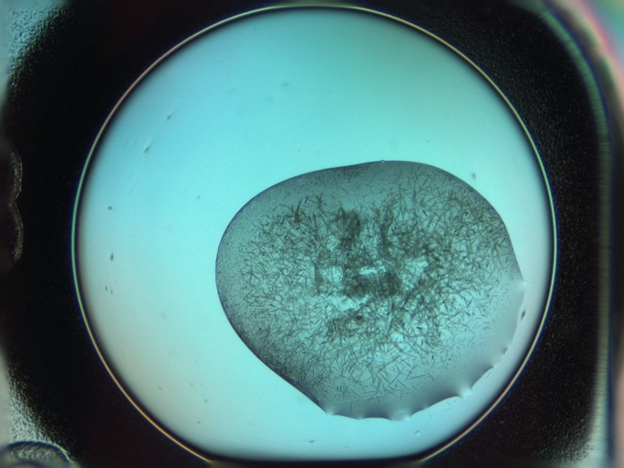 03ce_B12_ImagerDefaults_7.jpg