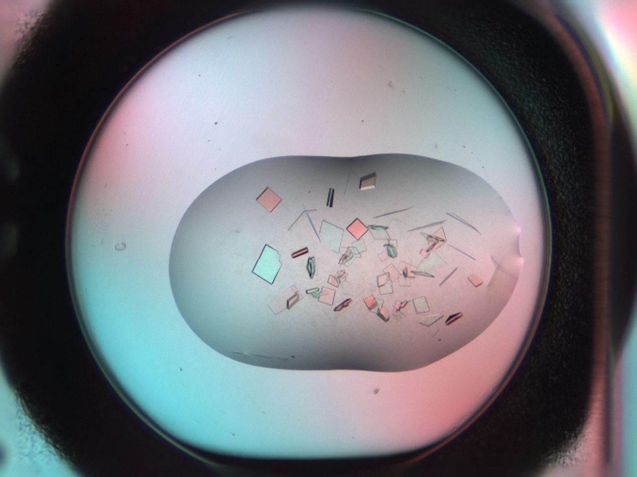 03ce_C5_ImagerDefaults_9.jpg