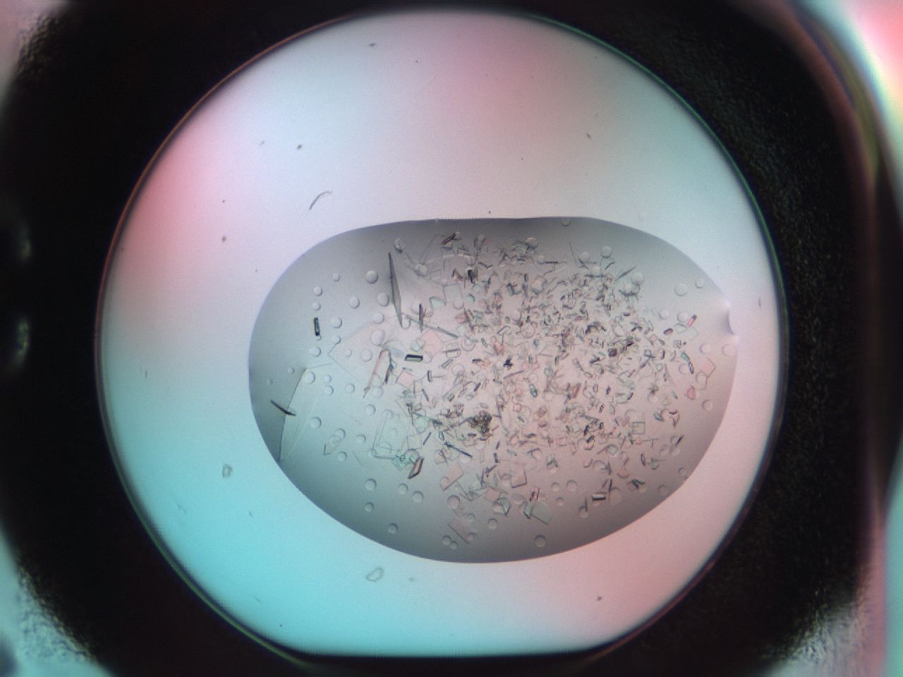 03ce_C6_ImagerDefaults_7.jpg
