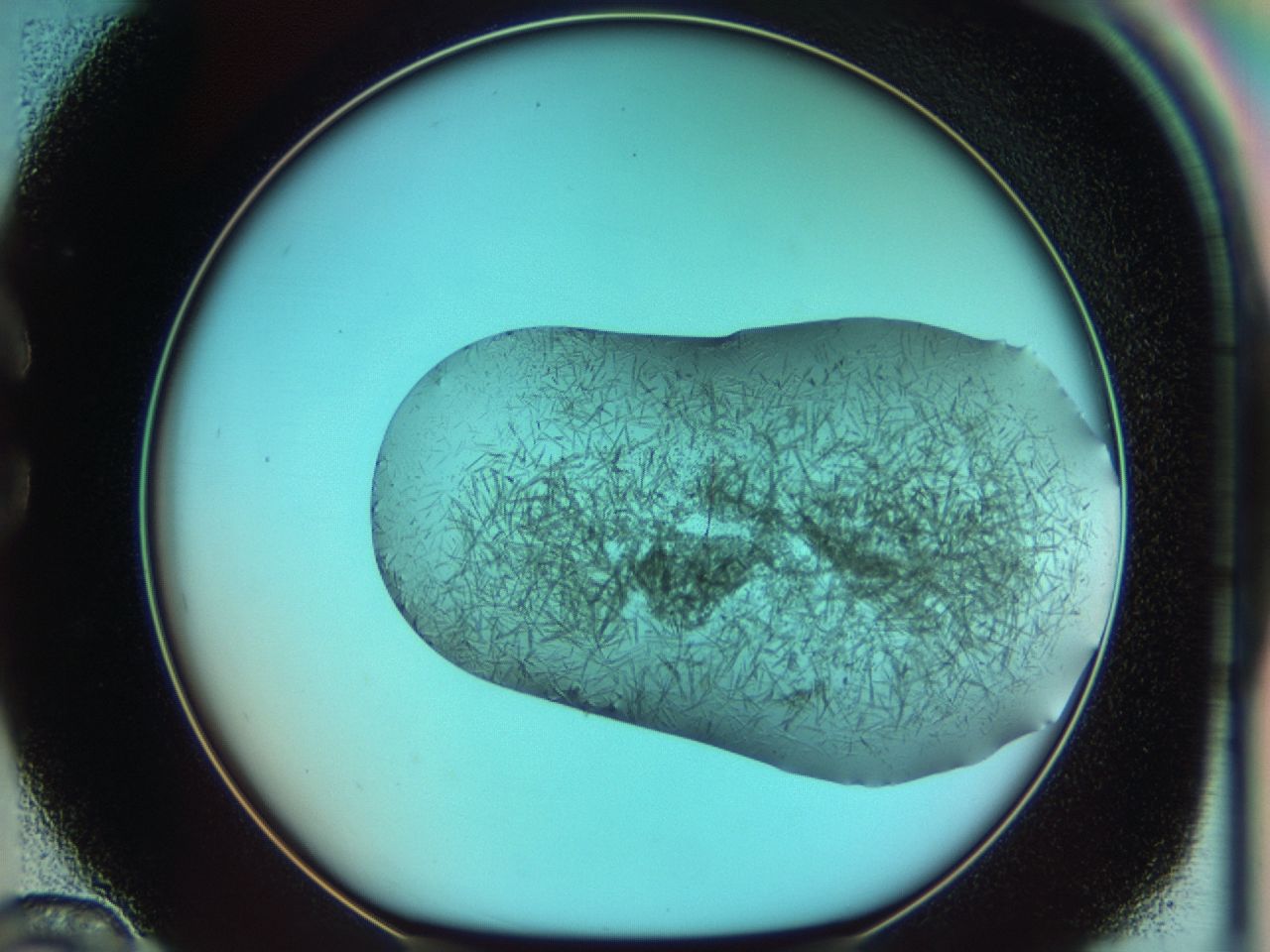 03ce_C12_ImagerDefaults_6.jpg